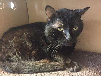 Harvey (21076141)