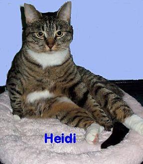 Heidi (13277240)