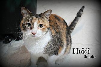 Heidi (21423993)