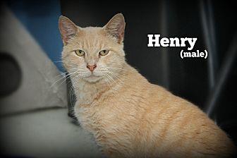 Henry (19769712)
