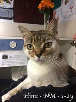 Himi in CT (21532741)