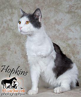 Hopkins (21135018)