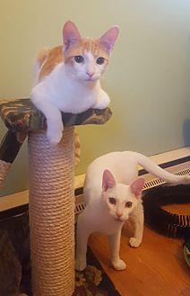 Huey & Louie (21448098)