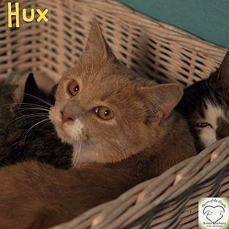 Hux (18298589)