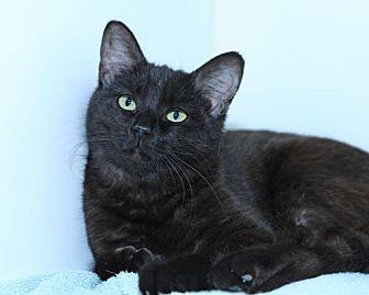 Isabella (21515008)
