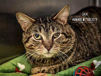 Jack (20462728)
