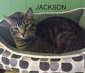 Jackson (21405907)