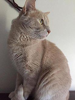 Jasper (18725033)