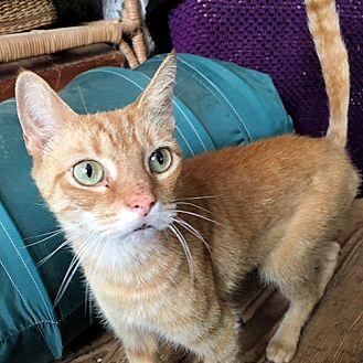 Jasper (20906963)