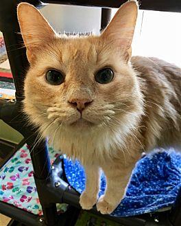Jasper (21454795)