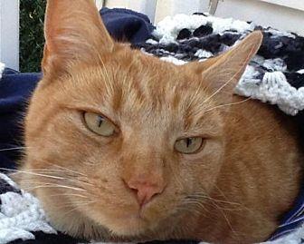 Jasper (21554776)