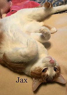 Jax (21375282)
