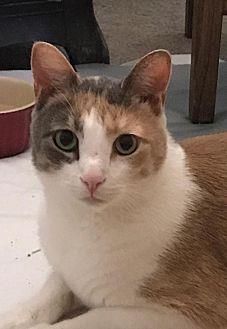 Jazmin (19411309)