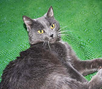 Jazzy (21573745)