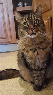 Jeffrey (21038367)