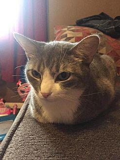 Jellybean (21545785)
