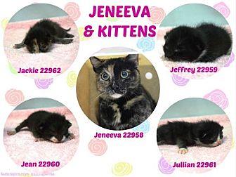 Jeneeva and (21210185)