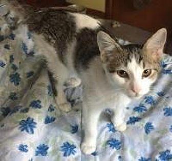 Joaquin (17320912)