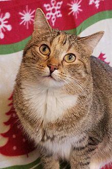 Josie (16252599)