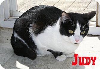 Judy (10749470)