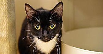 Junior (21396935)