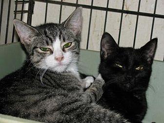 Juno & Maia (20855166)
