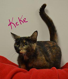 KeKe (21546564)