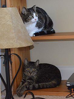 Kelly & Nell (19582370)