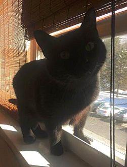 Kevin (21092390)