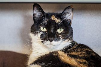 Kiki (21540546)