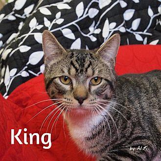 King (21384597)