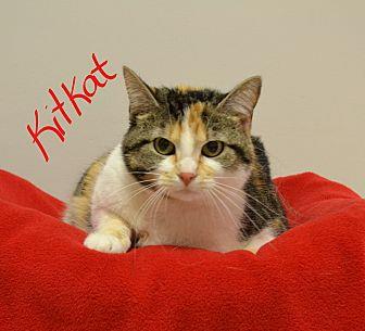 Kit Kat (21147745)