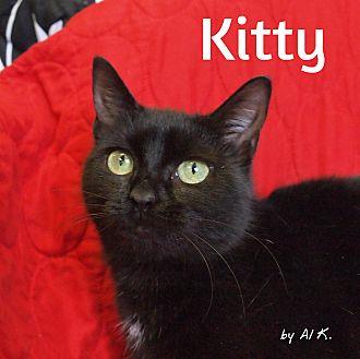 Kitty (21384567)