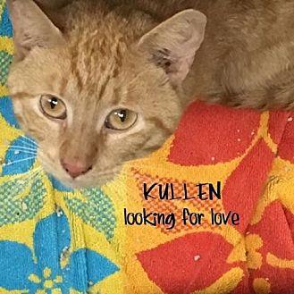 Kullen (21580851)