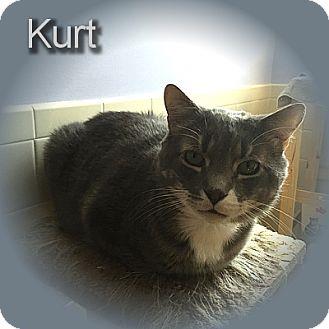 Kurt (10821572)