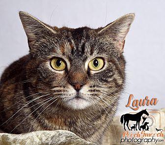 Laura (20107062)