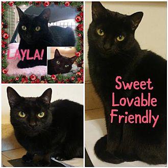Layla (15601833)