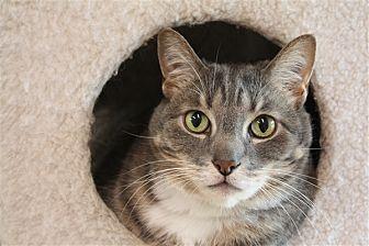 Leo (21379608)