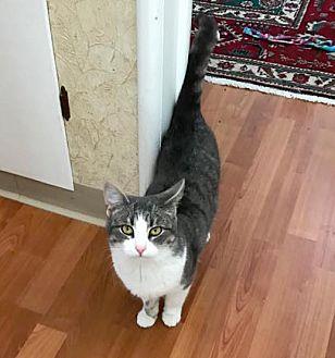 Leo (21481415)