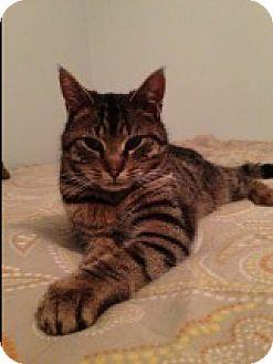 Leo/ great w (14541545)