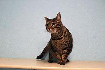 Lil’Bit (20079859)