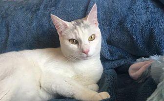 LiLi (21489350)