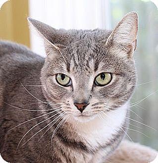 Lillian (10591685)
