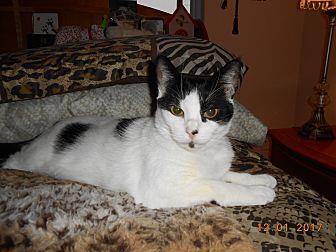 Lily (20548040)