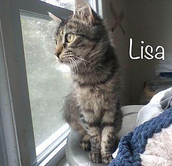 Lisa (21557086)