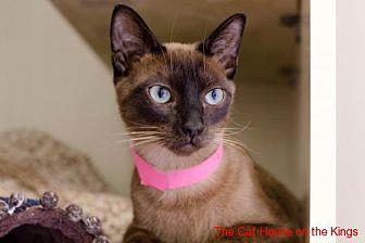 Lola (21604946)