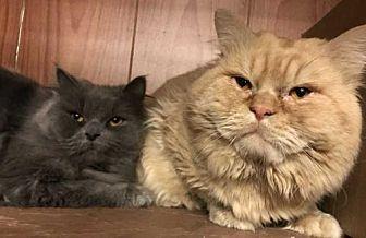 Lola and Gar (21403707)