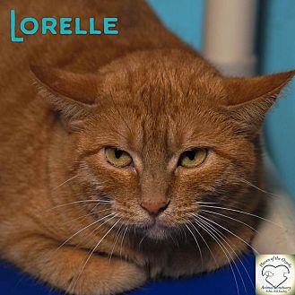 Lorelle (16641197)