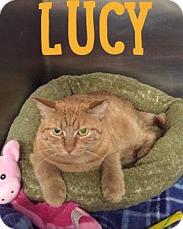 Lucy (16099119)