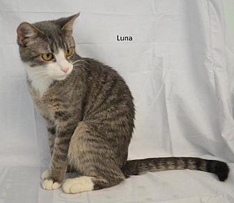 Luna (20717329)